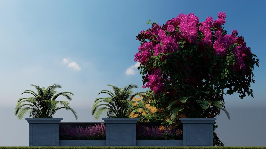 Beautiful backyard landscape design