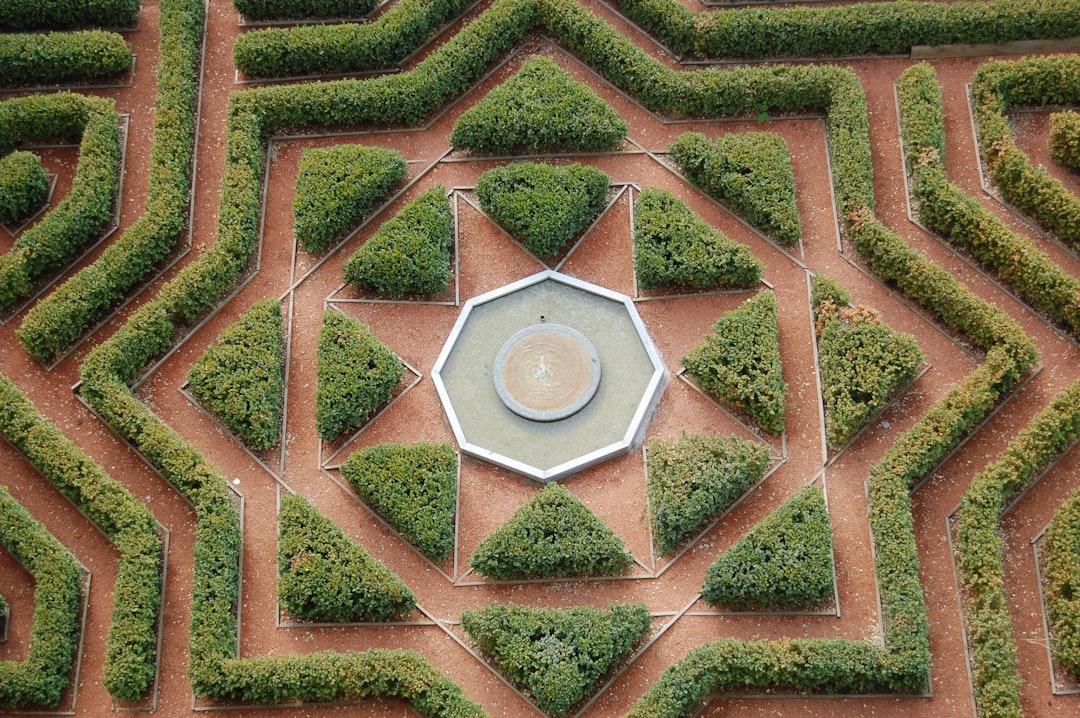 Xeriscape drought-tolerant garden